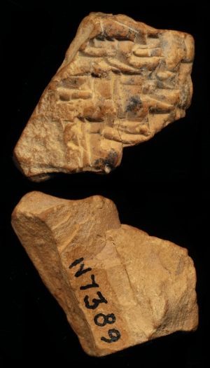 N7389