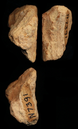 N7391