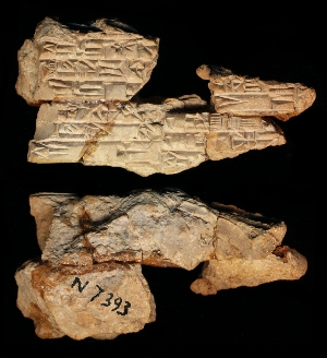 N7393