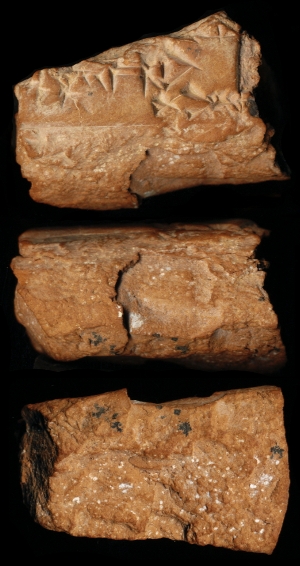 N7396