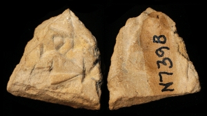 N7398