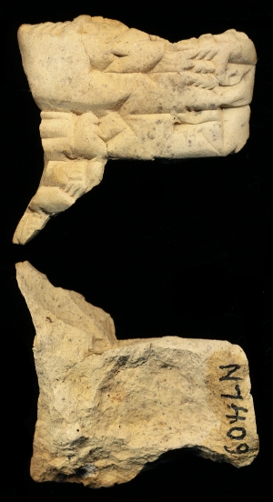 N7409