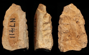 N7411