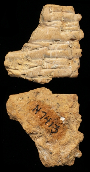 N7413