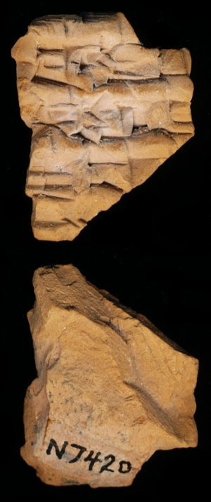 N7420