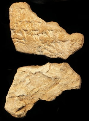 N7421