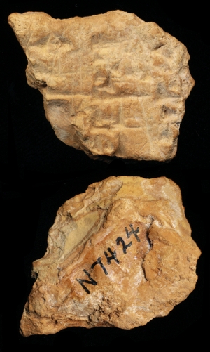 N7424