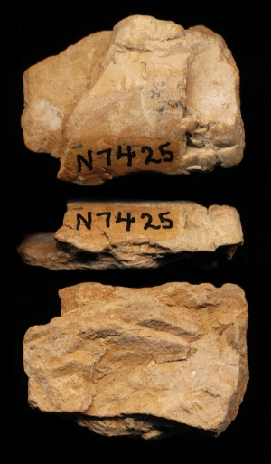 N7425