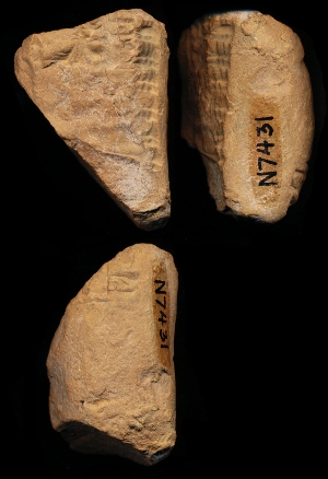 N7431