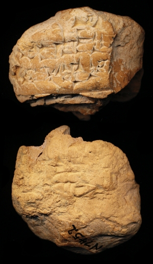 N7452