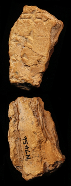 N7456