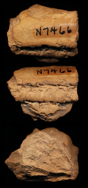 N7466