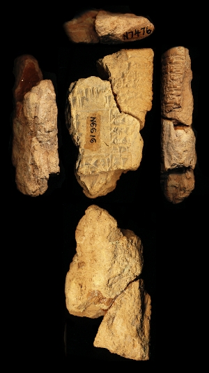N6616