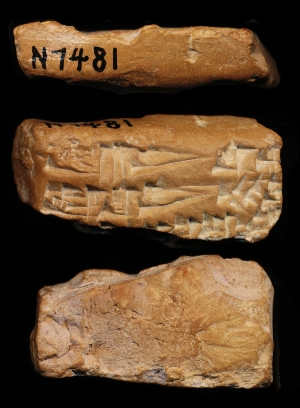 N7481