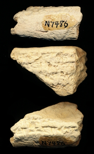 N7486