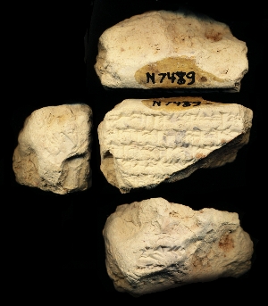 N7489