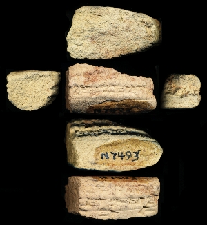 N7493