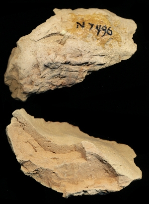 N7496