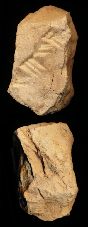 N7497