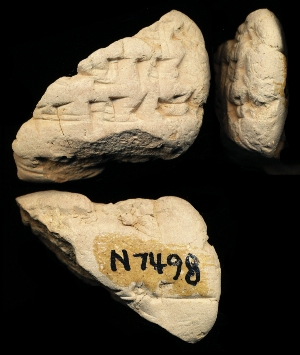 N7498