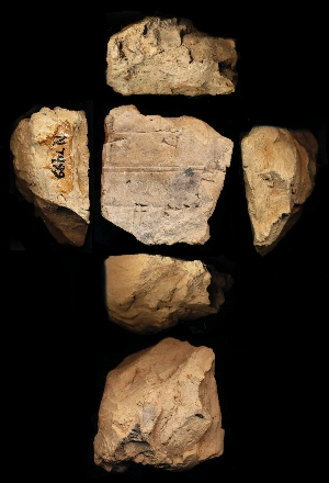 N7499