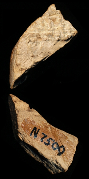 N7500
