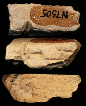 N7505