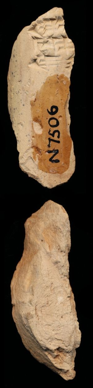 N7506