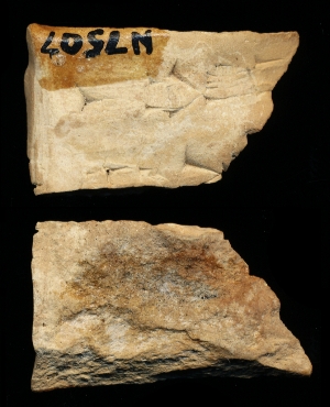 N7507