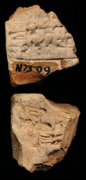 N7509