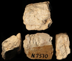 N7510