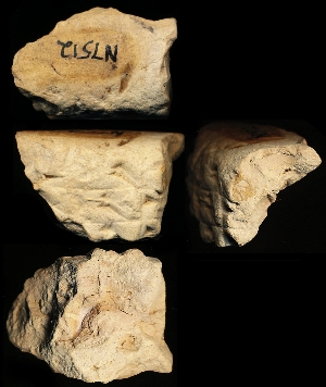 N7512