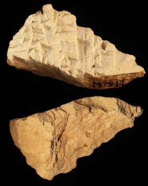 N7514