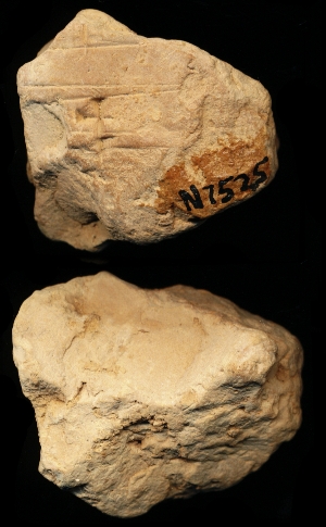 N7525