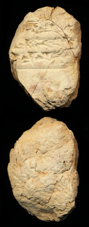 N7526