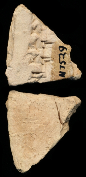 N7529