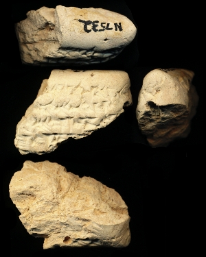 N7532