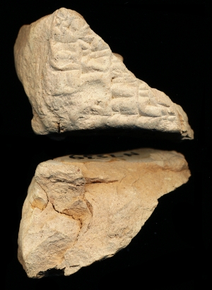 N7539