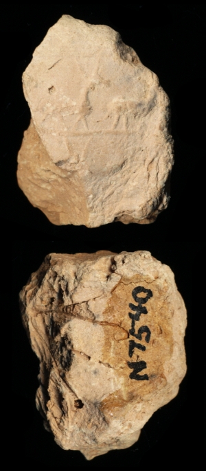 N7540