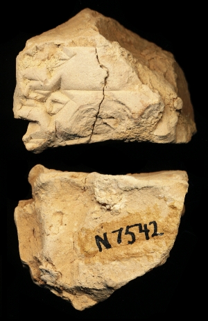 N7542