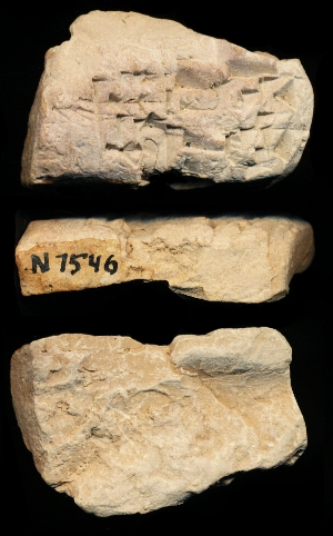 N7546