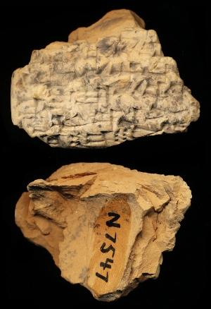 N7547