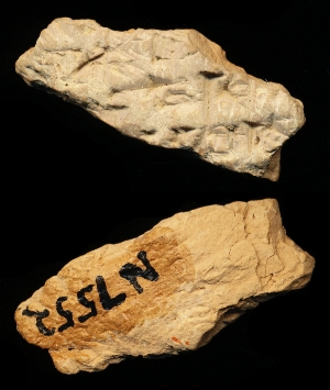 N7552