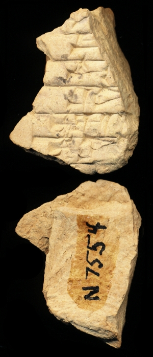 N7554