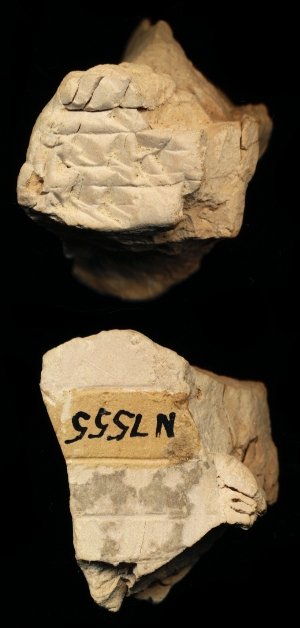 N7555