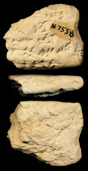 N7558