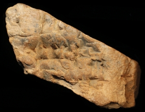 N7562