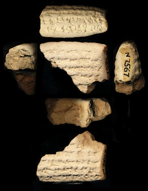 N7567