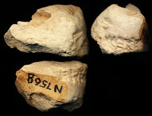 N7568