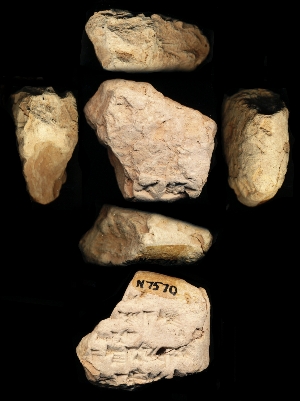 N7570